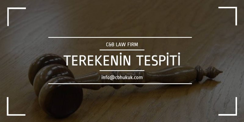 terekenin tespiti davası