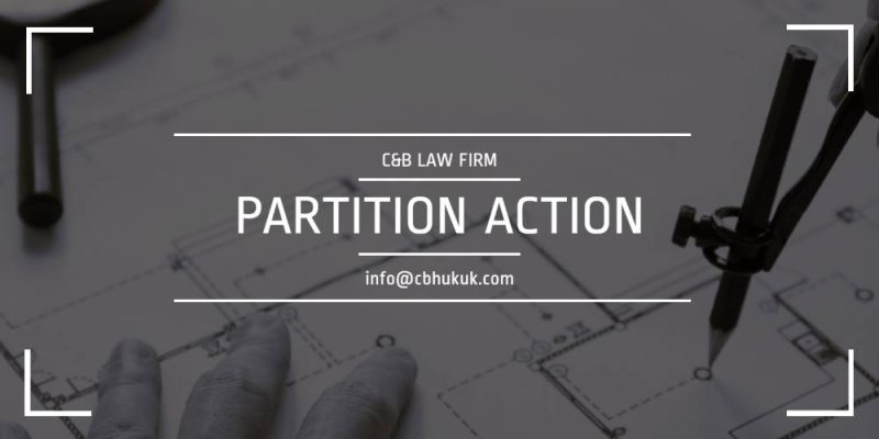 partition action in Turkey